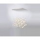 AM6609 Bocci Meteor  